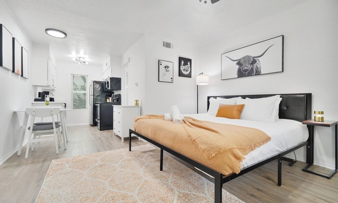 Hyde Park Apartment | Hyde Park Gem–Modern Studio Near UT & Downtown