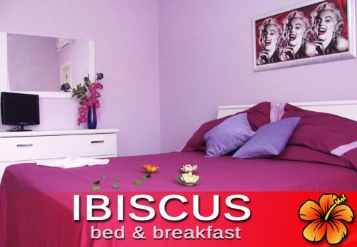 Castro Marina Bed & Breakfast | Ibiscus B&B