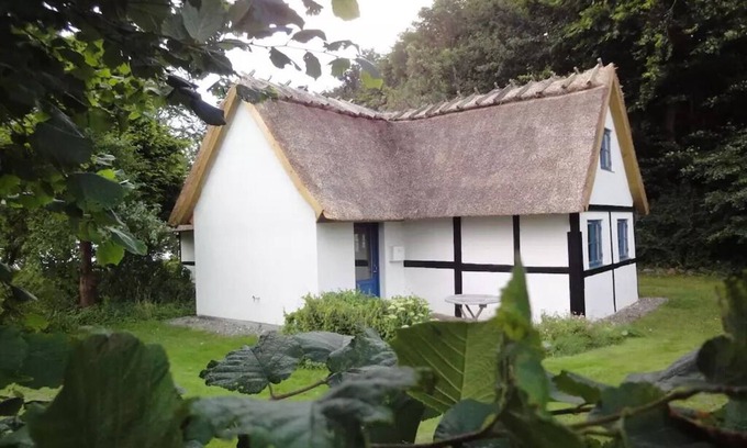 Stege House | Idyllic location directly to the forest and Baltic Sea and with its own beach
