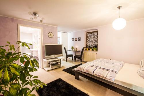 Pillnitz Apartment | Idyllische Ferienwohnung am Pillnitzer Schlosspark