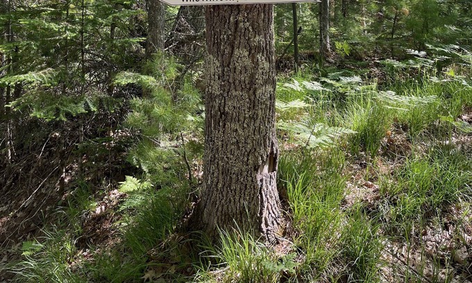 Sayner House | If you're looking for a relaxing Northwoods experience this is it! 2023 sale!