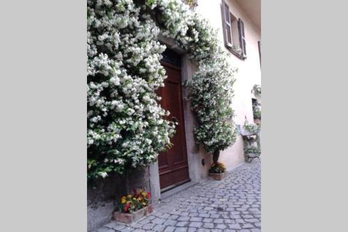 Orvieto House | Il gelsomino di Isia