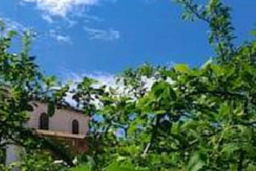 Alcamo House | Il Gelsomino Home Holiday