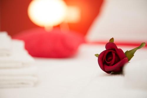 Case Alte Bed & Breakfast | Il Gruccione