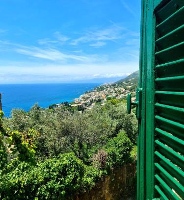 Pieve Ligure Apartment | Il sogno del capitano