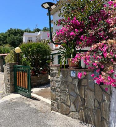 Pioppi House | Il Sole di Pioppi
