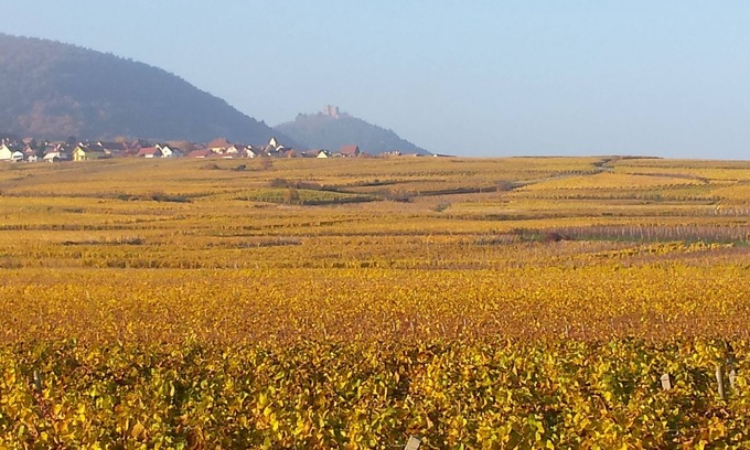 Herrlisheim-pres-Colmar House | In the heart of cultural and gourmet Alsace, HERRLISHEIM near COLMAR