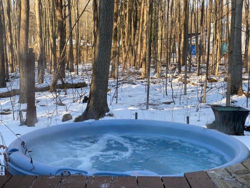 Fennville House | In the Trees- Relaxing getaway with hot tub! 400ft to private Lake Access!