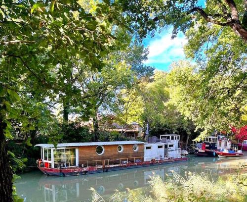 Gardouch Boat Rental | Insolite Péniche Amazonie canal du midi