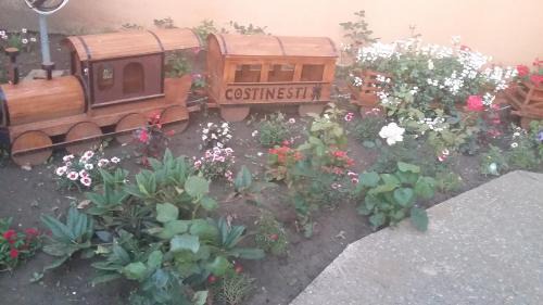 Costinesti House | Ionela