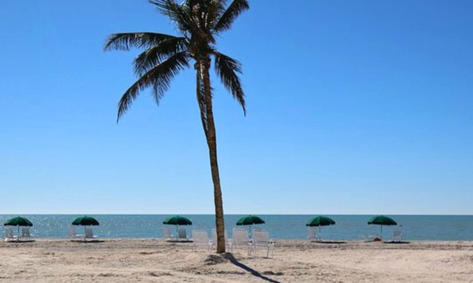 Sanibel Apartment | Island Inn