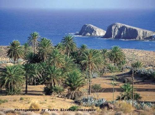La Isleta del Moro Apartment | isleta del Moro Daniel