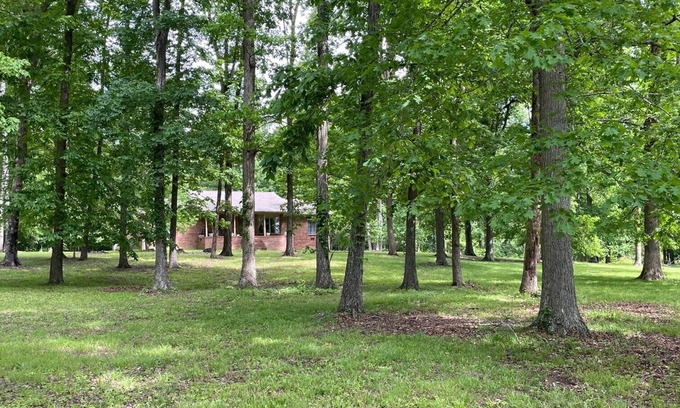 Dickel House | Isolated wooded home safe and quiet. Perfect for getting away from it all!