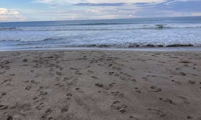 Hutchinson Island South Cottage | Jan Feb March 2024 Oceanfront resort style community