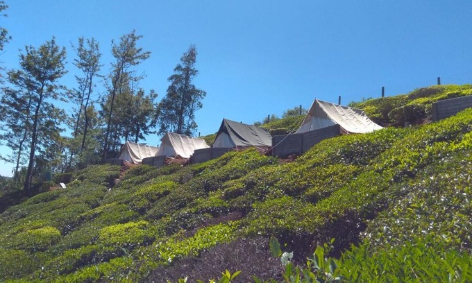 Ithalar Other | Janardan Tea Campsite Ooty