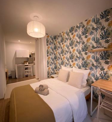 Gambetta Apartment | Joli studio centre historique et au calme (2)