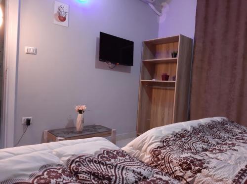 Downtown Cairo Apartment | Joy homes & suits