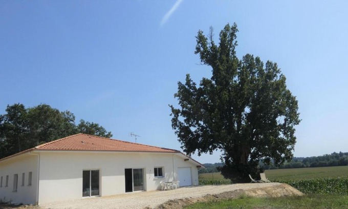 Fargues House | Juine