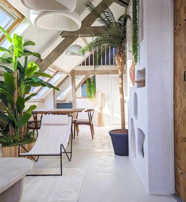 Cathedrale Apartment | Jungle's Tours Une Oasis en Plein Cœur de la Ville