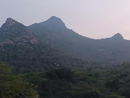 Tiruvannamalai House | Kamal Rooms