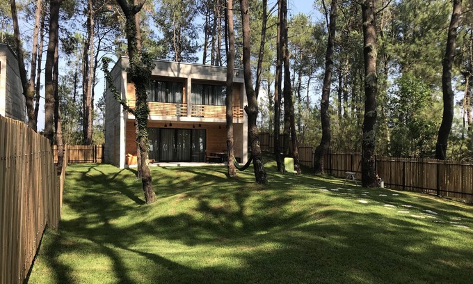 Ureki House | Kaprovani Pine Grove