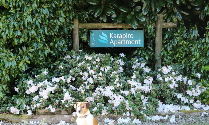 Karapiro Apartment | Karapiro Apartment, close to Lake Karapiro, Self-contained, one bedroom