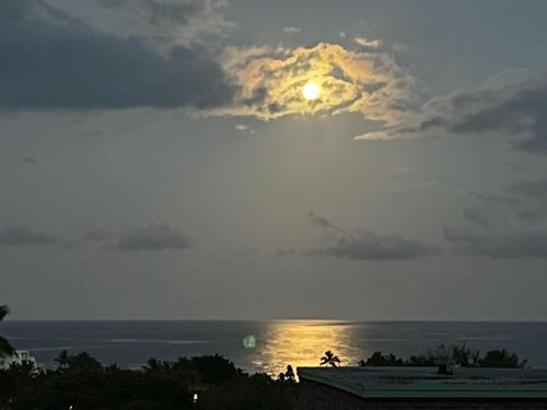 Keauhou House | Keauhou Akahi 208