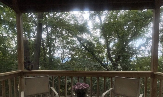 Swissvale Apartment | King Bed + Balcony in Swissvale- Neicy’s Nest-B