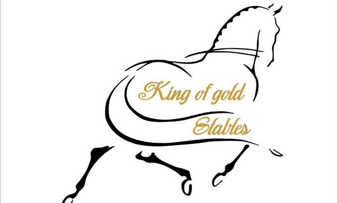 Zutendaal Apartment | King of Gold Stables appartement met stalling voor 5 paarden