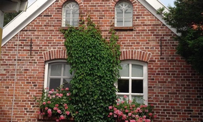 Emden House | Klaassen - Holiday home Up Warf - Holiday home Up Warf, shower, toilet, 2 bedrooms