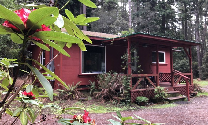 Fort Bragg Cabin | Kona Cabin in the Redwoods