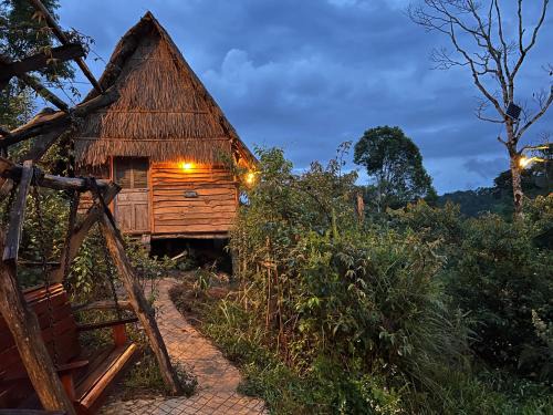 Kon Plong Cabin | KONKE RUỘNG FARMSTAY