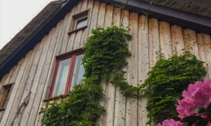 Klockenhagen Apartment | Koras Dachkammer - Künstlerhaus:korasdachkammer+villailsebill+carlotteslandlust