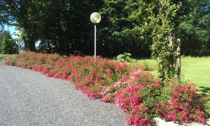Herning Apartment | Kratgaardens Apartment
