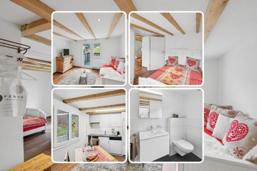 Wildhaus Apartment | Kuschelige Ferienwohnung direkt an der Skipiste SGT08