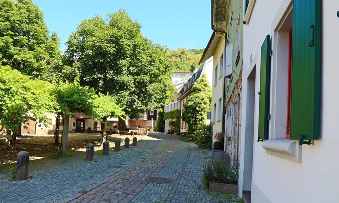 Waldshut-Tiengen Apartment | Löwe Apartments "Gold" Tiengen Old Town