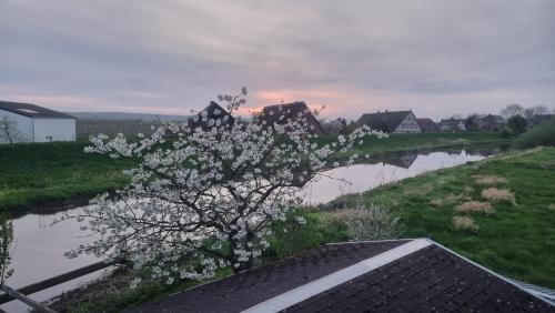 Mittelnkirchen Apartment | Lühe Loft - direkt am Wasser im Alten Land