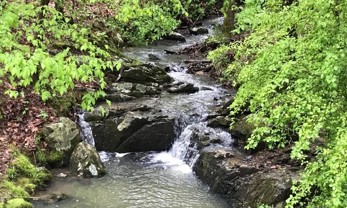 Jones Mills House | L@K Resort Living on 2 Wooded Acres. Amazing! Outdoor Fun! Hot Springs