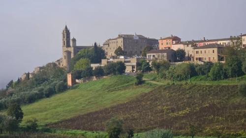 Corbara House | L' oasi del riposo