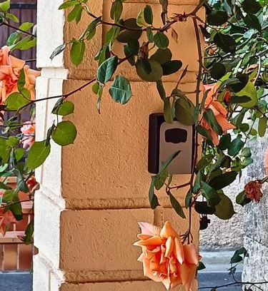 Alignan-du-Vent Apartment | La Brocante