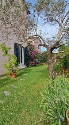 Ameglia House | La Camelia