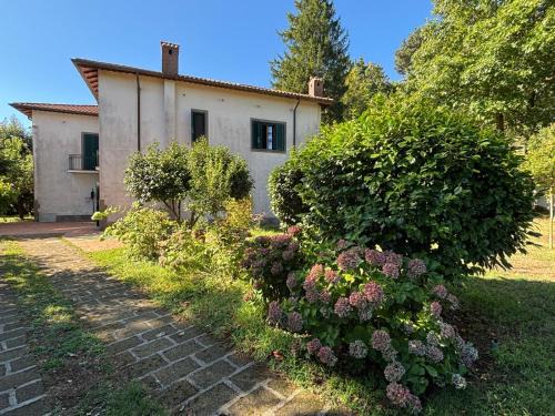 Rocca di Papa Apartment | La Casa del Bosco