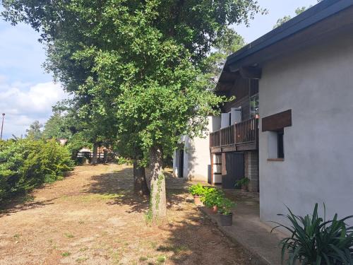 Olius Apartment | La casa del pi