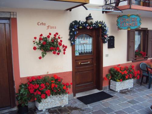 Danta di Cadore Apartment | La casa di Beppe appartamento e camere