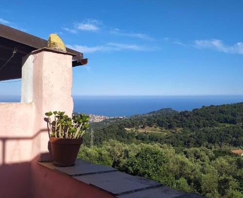 Lingueglietta Apartment | La casa rosa