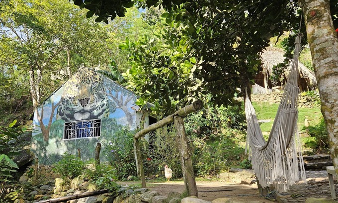 Santa Marta Hotel | La Cima Tayrona