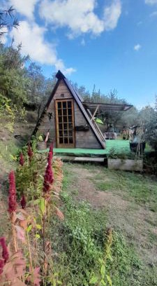 Barga Other | La fatina Lodge
