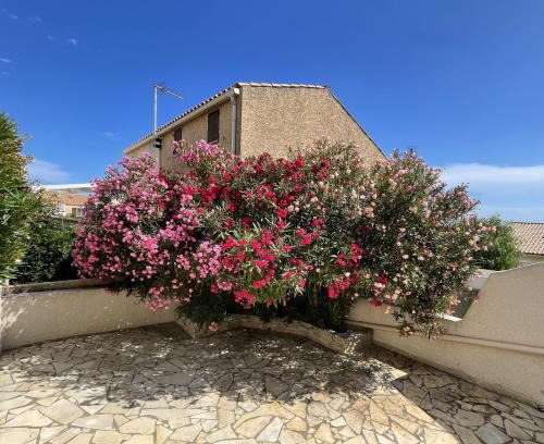 Saint-Pierre-la-Mer House | La Maison sur la côte