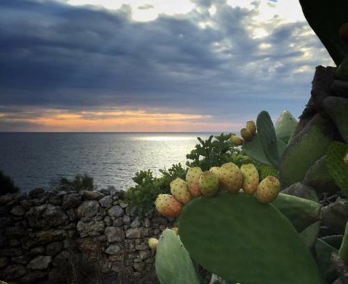 Castiglione d'Otranto House | La Marchesa di Castiglione