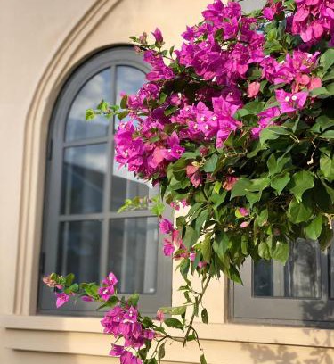 Phan Thiet Villa | La Mer Villa